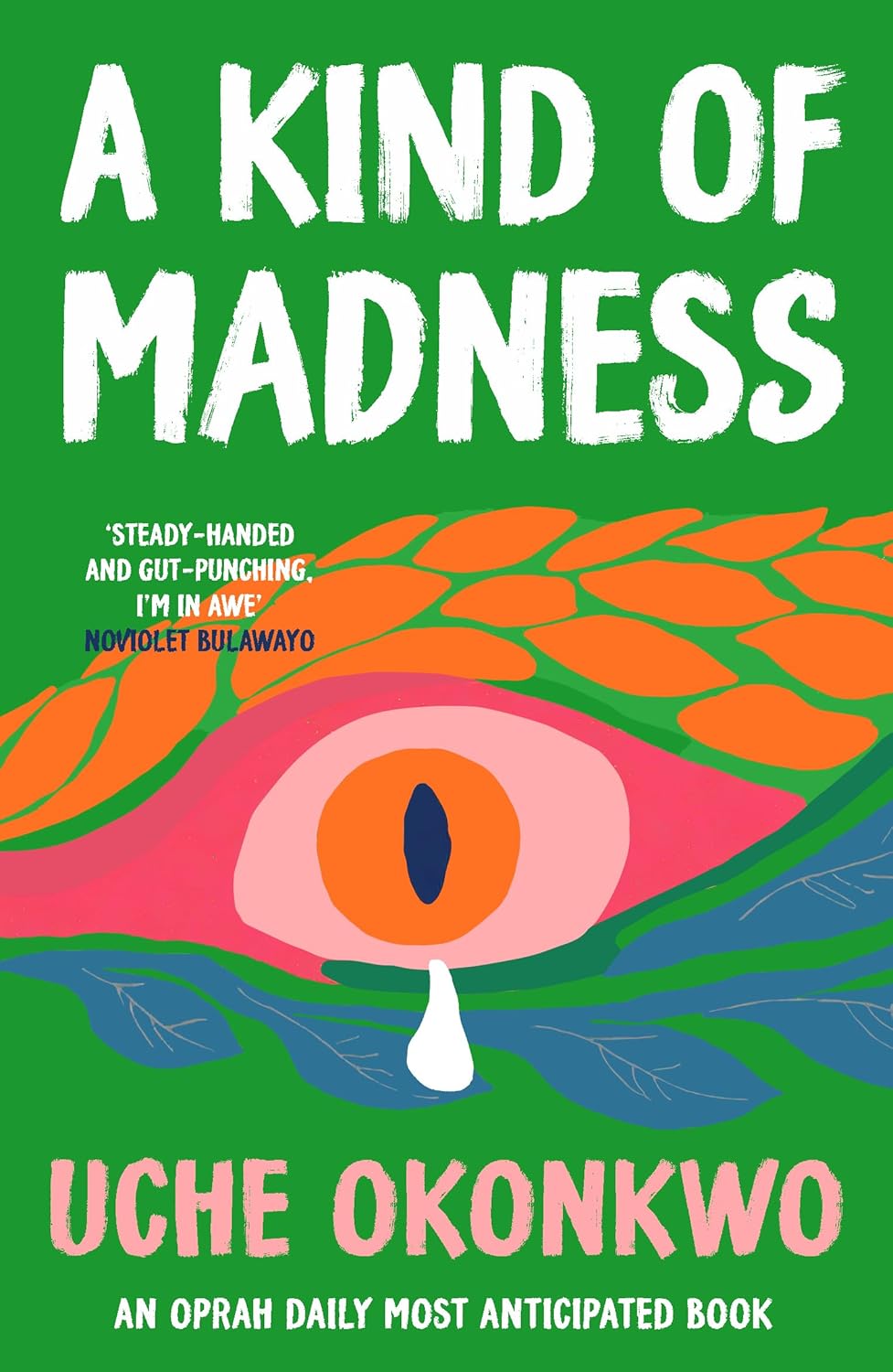 A Kind of Madness, Uche Okonkwo