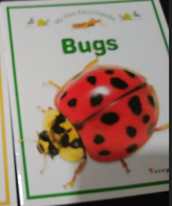 My First Encyclopedia Bugs