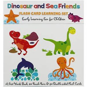 Dinosaurs and Sea Friends, Flash card learning set, North Parade Publishing Ltd