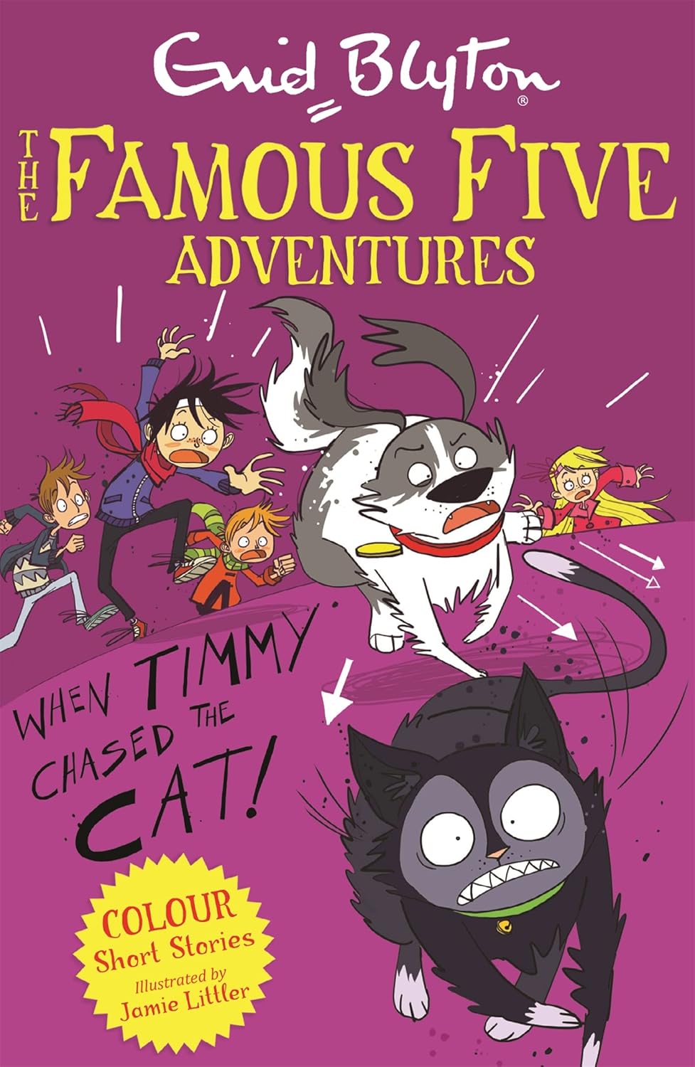 When Timmy Chased the Cat(Famous Five Adventures), Enid Blyton